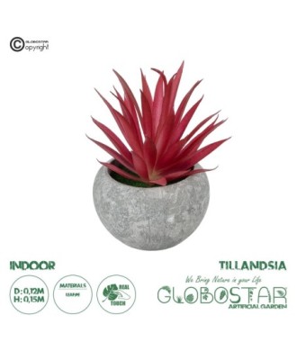 GloboStar® Artificial Garden AIR PLANT TILLANDSIA POTTED PLANT 21035 Διακοσμητικό Φυτό Τιλάντσια Φ12 x Υ15cm